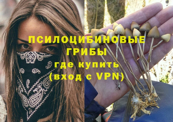 прущая мука Верхний Тагил