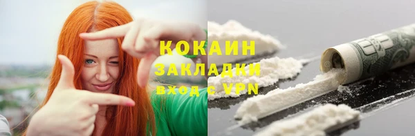 индика Сатка