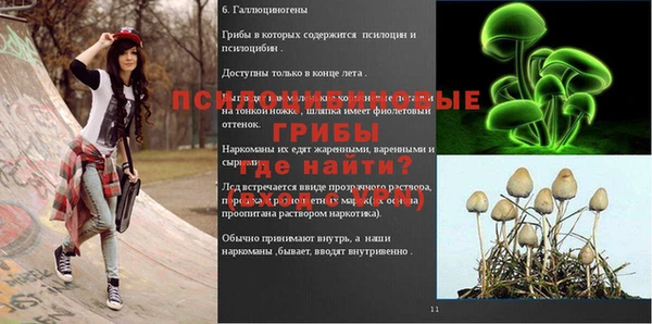 прущая мука Верхний Тагил
