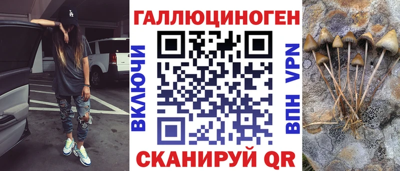 Псилоцибиновые грибы Psilocybe мориарти какой сайт Гвардейск