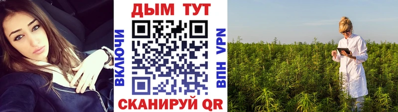 Шишки марихуана ГИДРОПОН KRAKEN зеркало Гвардейск